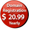 $8.75 Yearly Domain Registration